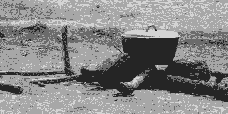 Sécurité alimentaire