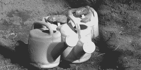 Changement climatique